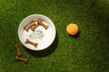You're The Dog's Bo***cks DOG Bowl - Cheeky Mare
